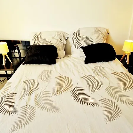 Apartment Studio